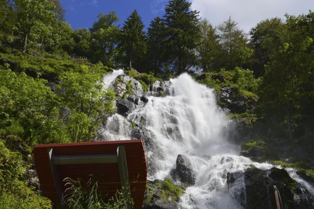Waldtwin 1 Titisee Exterior foto