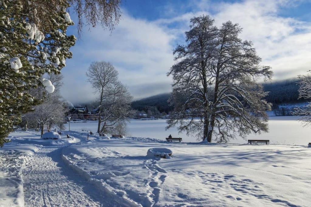 Waldtwin 1 Titisee Exterior foto